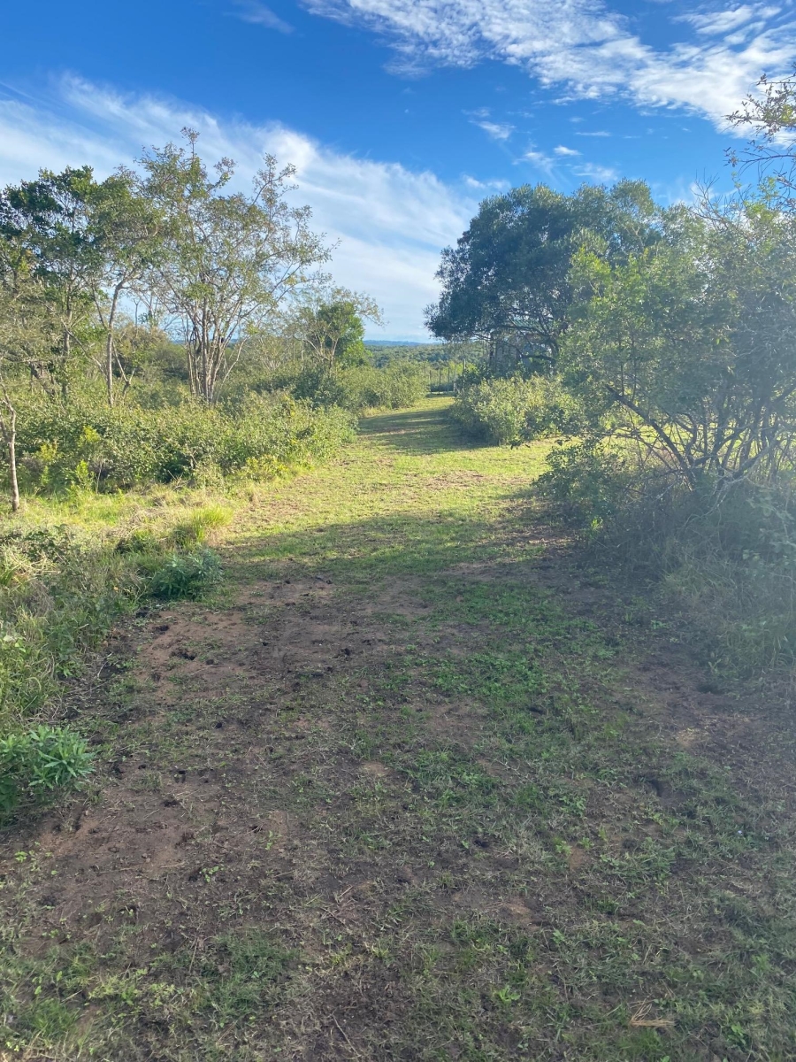 0 Bedroom Property for Sale in Bathurst Eastern Cape